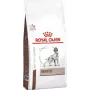 Royal Canin Dog Hepatic VHN comida seca para perros, 12 kg