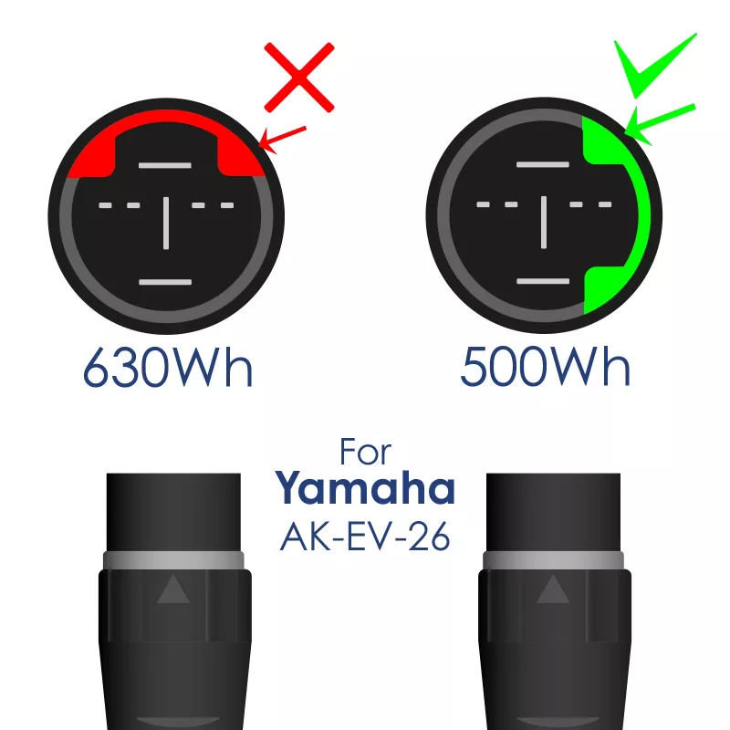 Akyga AK-EV-26 Cargador 42V/4A 168W Yamaha 1,2m
