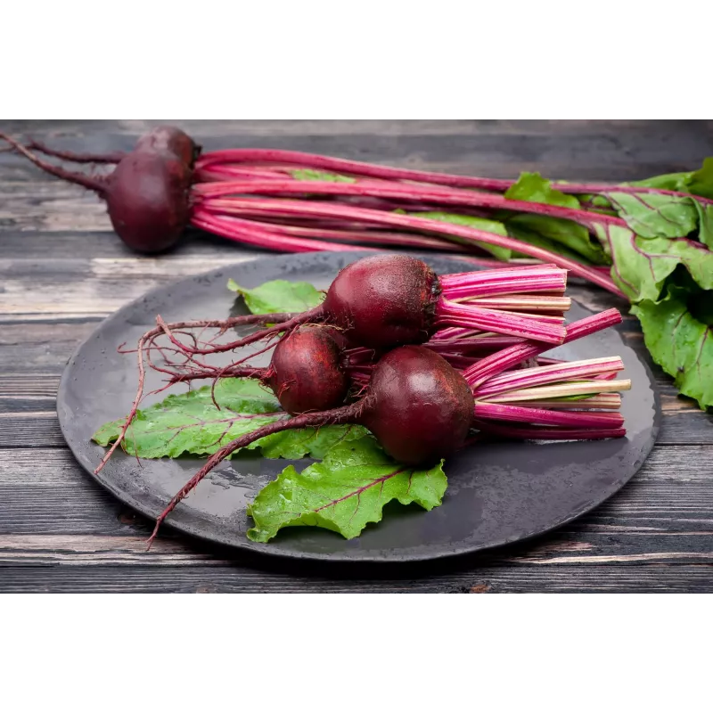Semillas de hortalizas remolacha roja oscura Toraf, paquete de 20g