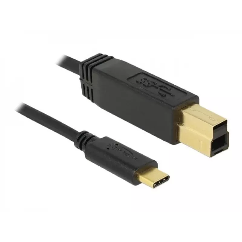 Cable USB DeLOCK 83675 USB 3.2 Gen 2 1 m USB C USB B negro
