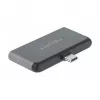 Base de acoplamiento para tablet Apple DeLOCK Mini Docking Station 4K 60 Hz