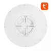 Lámpara de techo inteligente 30cm WiFi/Bluetooth 16M RGBCW Gosund LB12 1920lm Tuya + mando a distancia.