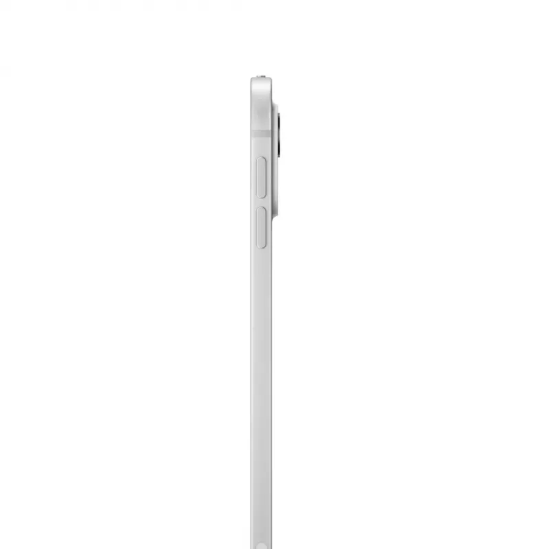 Apple iPad 11