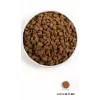 ORIJEN Puppy - Comida seca para perros - 6 kg
