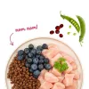 BOSCH Sanabelle Adult Chicken & Blueberries - pienso seco para gatos - 2 kg