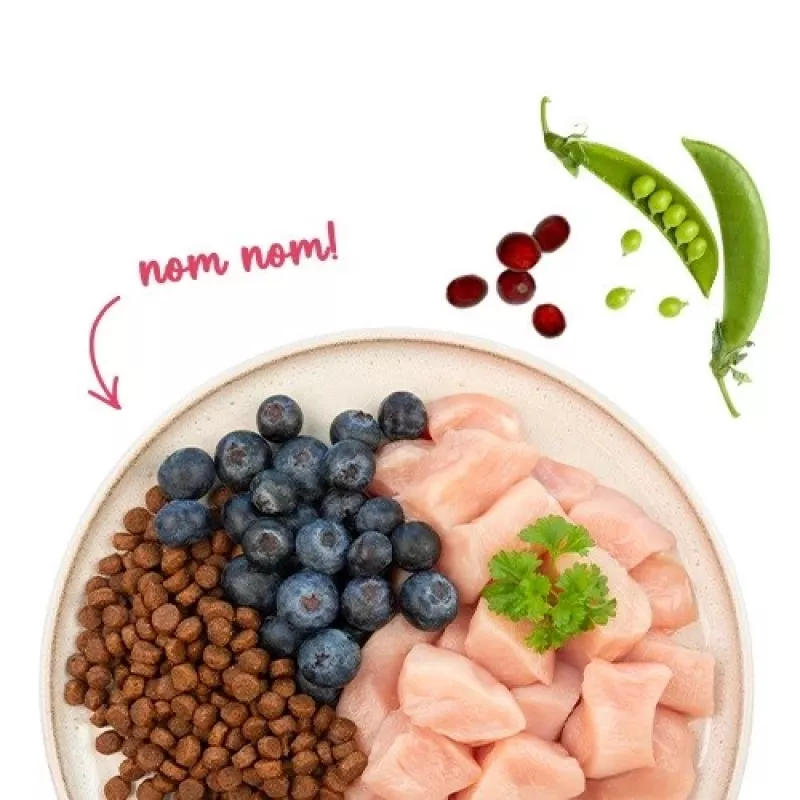 BOSCH Sanabelle Adult Chicken & Blueberries - pienso seco para gatos - 2 kg