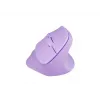 NATEC Crake 2 ratón universal diestros RF Wireless + Bluetooth óptico 2400 DPI