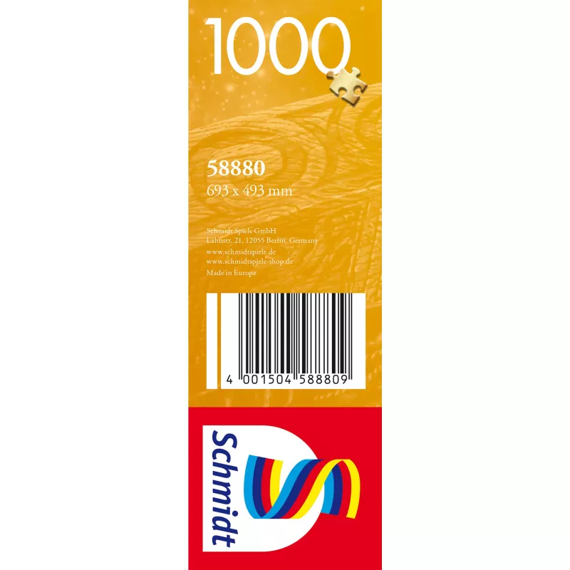Der Astronom, puzzle 1000 piezas