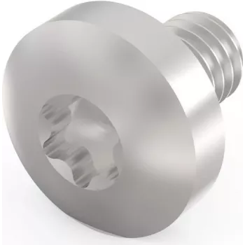 Schroff Tornillo Torx M4X6 E/PRO (100 unidades/paquete) (24560151)