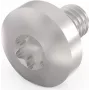 Schroff Tornillo Torx M4X6 E/PRO (100 unidades/paquete) (24560151)