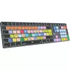 Teclado Logickeyboard LKB-LOGXP2-TM-UK Office QWERTY inglés tamaño completo