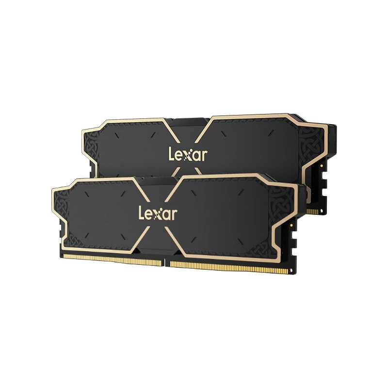 Módulo de memoria Lexar LD5U08G60C38LG-RGD
