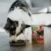 ANIMAL ISLAND Monoproteico pavo para perros 300g