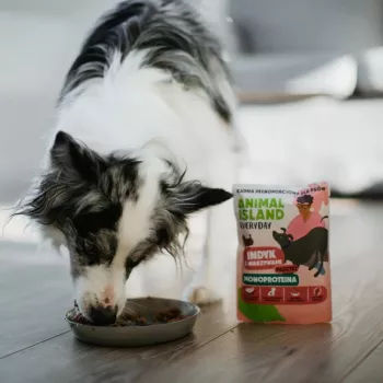 ANIMAL ISLAND Monoproteico pavo para perros 300g
