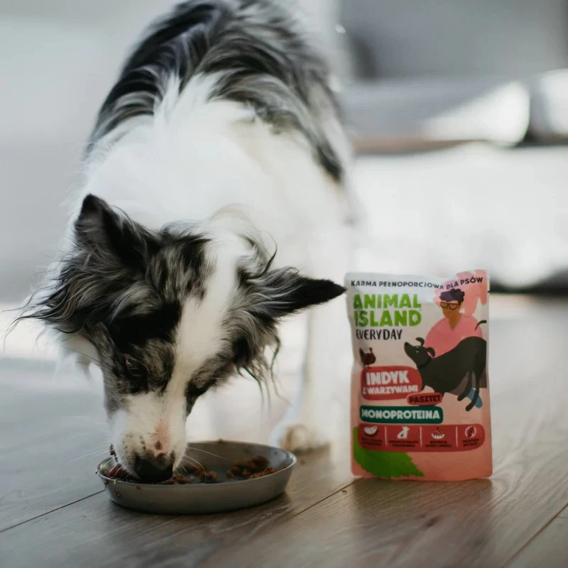ANIMAL ISLAND Monoproteico pavo para perros 300g