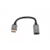 Adaptador de cable de vídeo Lanberg AD-DP-HD-04 0,2 m DisplayPort HDMI