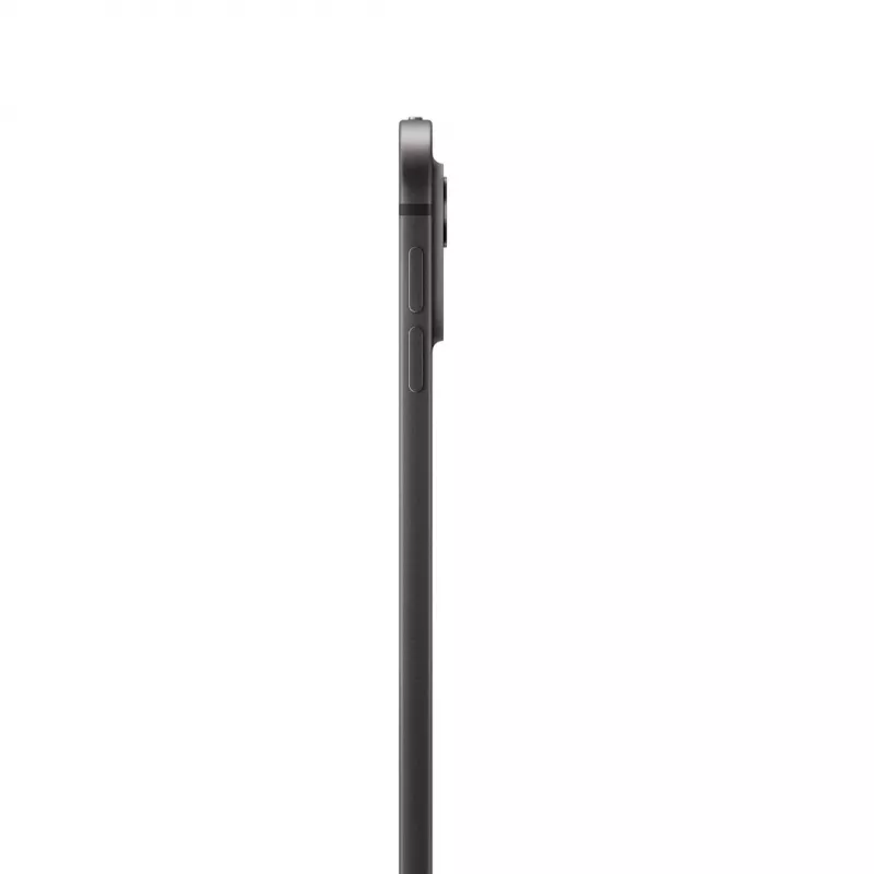 Apple iPad 13