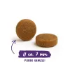 BOSCH Sanabelle Adult Ostrich & Blueberries - pienso seco para gatos - 2 kg