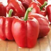 PNOS pimiento Ozarowska semillas recubiertas, paquete de 50