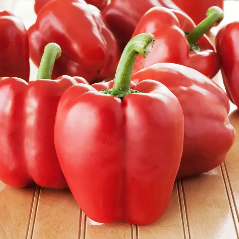 PNOS pimiento Ozarowska semillas recubiertas, paquete de 50