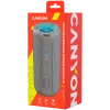 Altavoz portátil Canyon CNE-CBTSP15BG beige