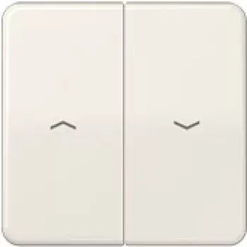 Tecla JUNG para interruptor/pulsador Jal. CD595P CD500 blanco CD595P (CD595P)