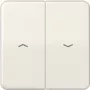 Tecla JUNG para interruptor/pulsador Jal. CD595P CD500 blanco CD595P (CD595P)