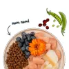 BOSCH Sanabelle Adult Forelle & Blaubeeren - pienso seco para gatos - 2 kg