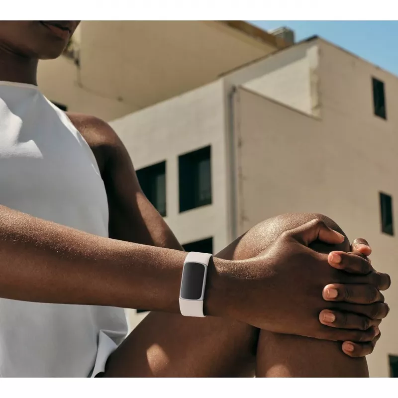 Fitbit GA05185-EU Producto Plata