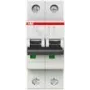 ABB STOTZ-KONTAKT Interruptor automático magnetotérmico 6kA 4A C 2p S202-C4 (2CDS252001R0044)