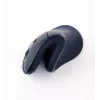 Ratón Gembird MUSW-ERGO-03 hogar diestro RF inalámbrico óptico 1600 DPI