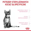 Royal Canin Kitten Sterilised alimento seco para gatos 3,5 kg aves