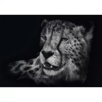 Ashley Rader: Speed - Gepard, Im Zeichen der Anmut, puzzle 1000 piezas
