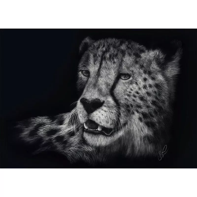Ashley Rader: Speed - Gepard, Im Zeichen der Anmut, puzzle 1000 piezas
