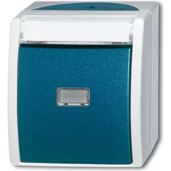 BUSCH-JAEGER Pulsador/contacto de cierre 2621WN-53-201 azul océano 2pol. con placa de identificación 2621WN-53-201 (1484-0-0373)