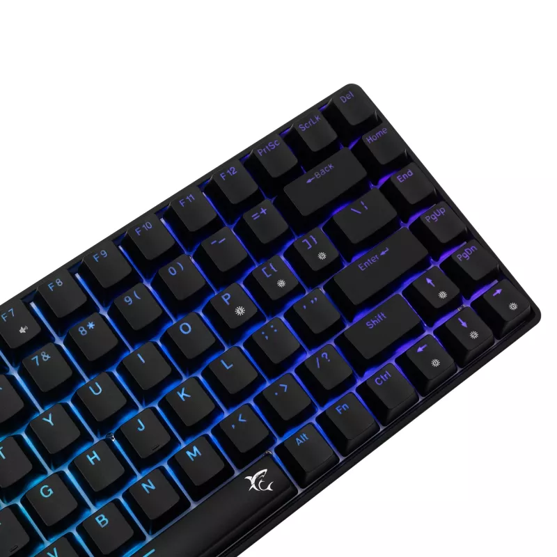 Teclado mecánico White Shark GK-005121 con iluminación RGB y switches azules