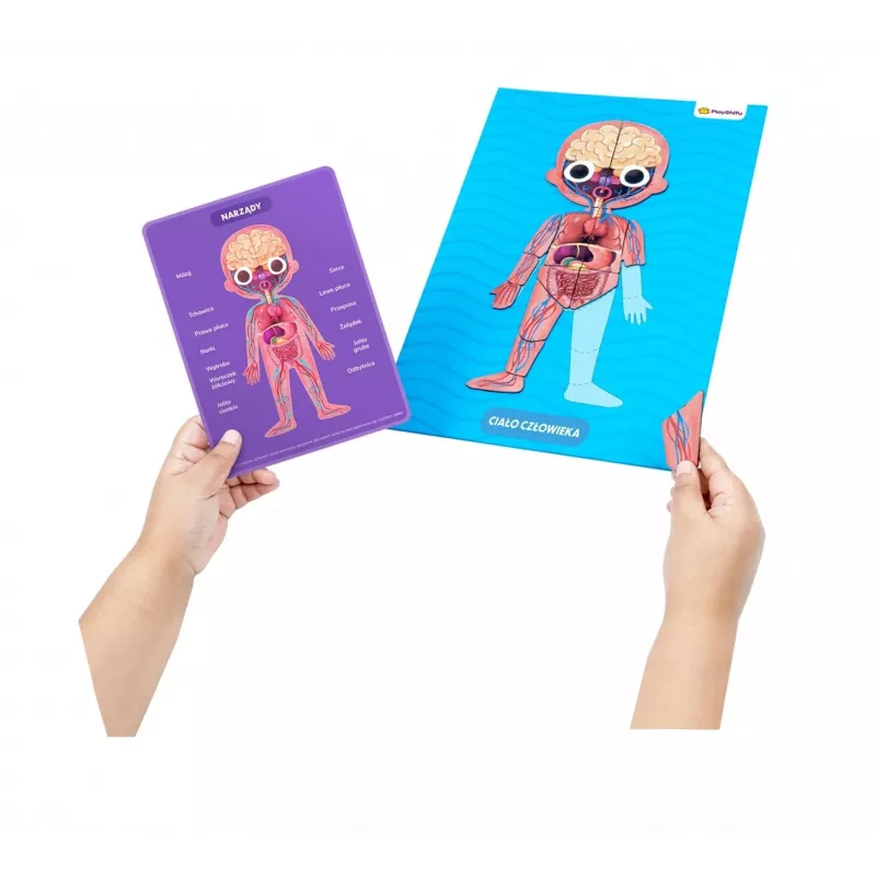 Set Playshifu My Super Human Body