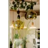 Bombilla LED Segula 55058 blanco cálido 1900 K 6 W E27