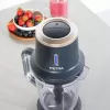 Batidora de vaso Petra PT5393BGRYVDE