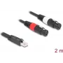 DeLOCK 88176 Cable de audio 2 m RJ-45 2 x XLR 3 polos negro