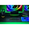Razer BlackWidow V4 Low-Profile Tenkeyless HyperSpeed teclado gaming, interruptores verdes, distribución US