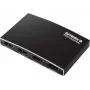 SpeaKa Professional SP-HDMIS-230 Divisor HDMI 3840 x 2160 píxeles Negro (SP-13904376)