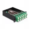 DeLOCK casete Fiber Optic HD conector macho MPO a 12 x conector hembra LC dúplex 24 fibras monomodo 9/125 µm