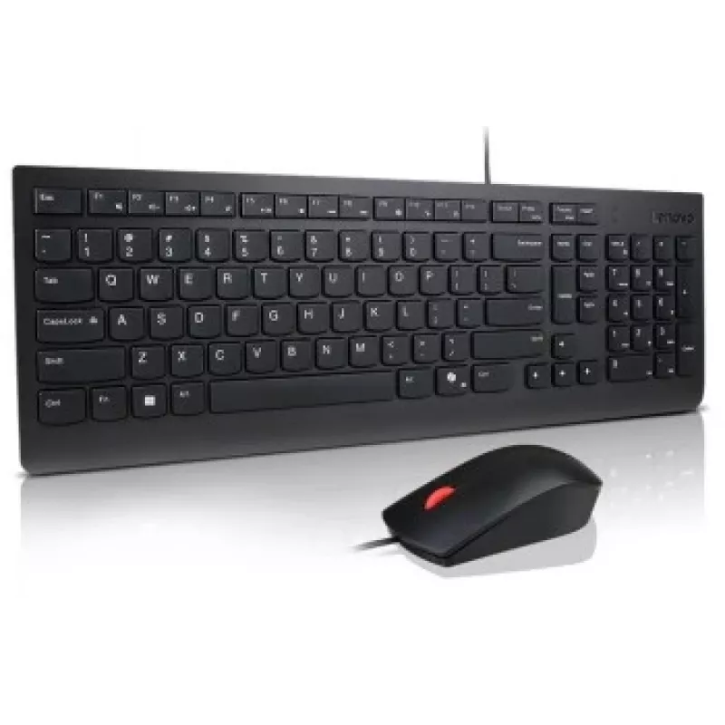 Lenovo Essential Conjunto de teclado y ratón con cable