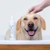 Champú hipoalergénico VETEXPERT 250 ml para perros y gatos — limpiador, todo tipo de pelaje, todas las edades