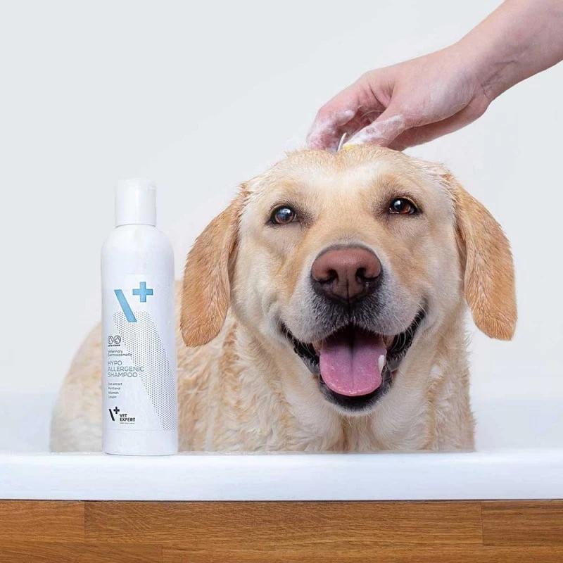 Champú hipoalergénico VETEXPERT 250 ml para perros y gatos — limpiador, todo tipo de pelaje, todas las edades