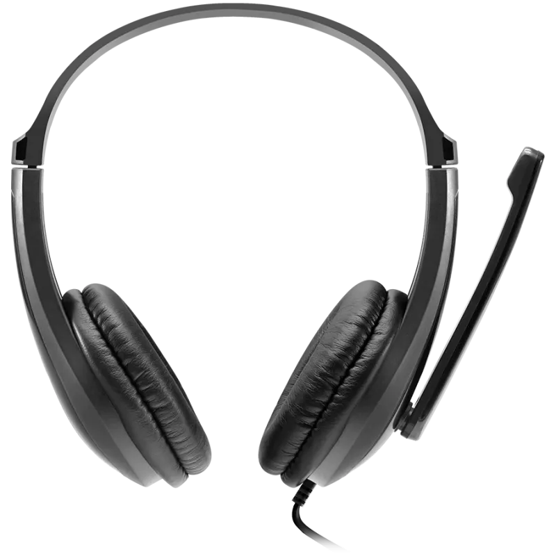 Auriculares para PC CANYON HSC-1 PC Mic Flat 2m negros