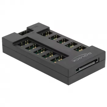 Delock - hub de luz LED RGB - 10 conexiones - negro (64128)