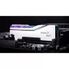 DIMM 48 GB DDR5-7200 (2x 24 GB) Dual-Kit, memoria plateada, F5-7200J3646F24GX2-TR5S, Trident Z5 Royal, INTEL XMP