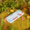 VGN V98 Pro Teclado Gaming, Box Autumn - Maple Sugar Limited Edition (US)